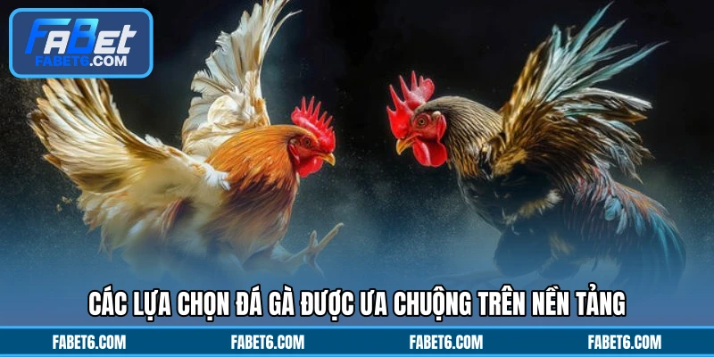 Các lựa chọn đá gà được ưa chuộng trên nền tảng