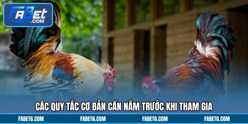 Các quy tắc cơ bản cần nắm trước khi tham gia