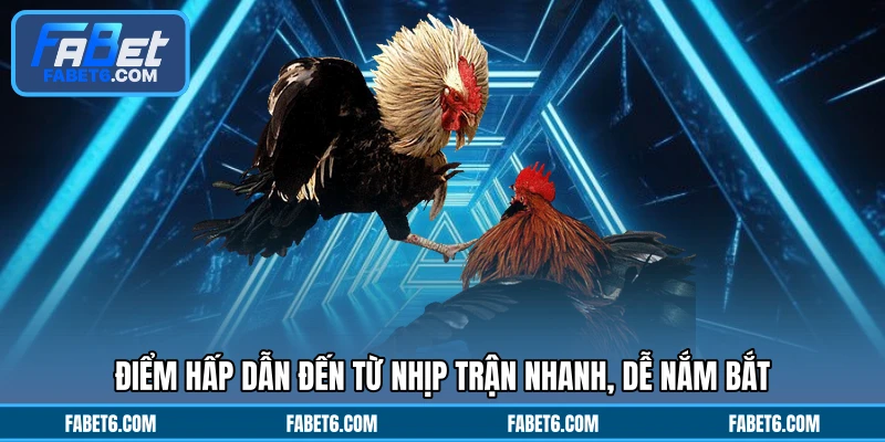 Điểm hấp dẫn đến từ nhịp trận nhanh, dễ nắm bắt