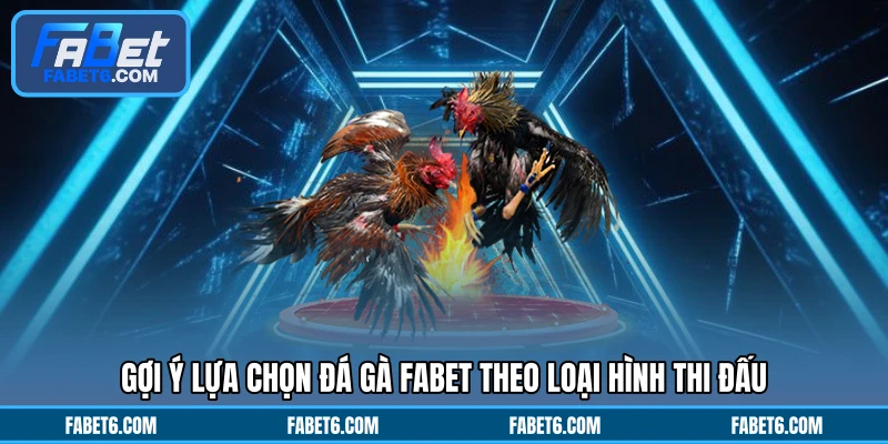 Gợi ý lựa chọn đá gà FABET theo loại hình thi đấu