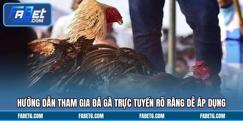 Hướng dẫn tham gia đá gà trực tuyến rõ ràng dễ áp dụng
