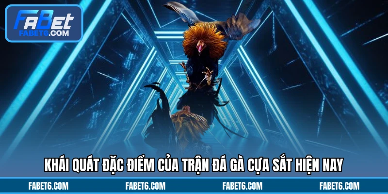 Khái quát đặc điểm của trận đá gà cựa sắt hiện nay