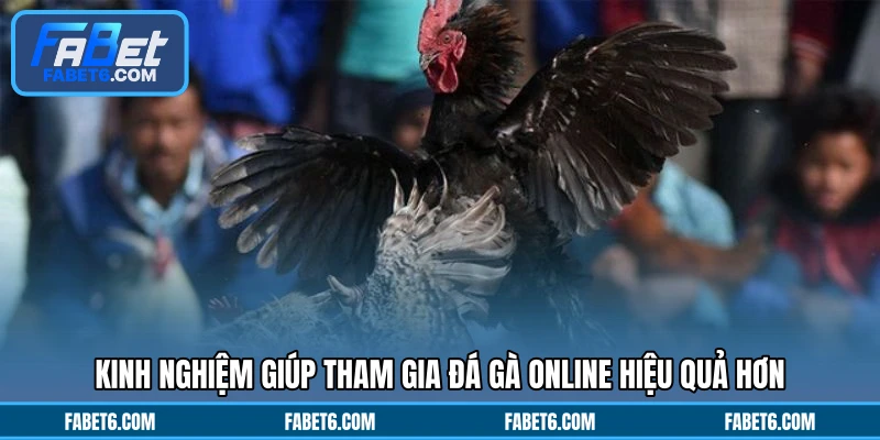 Kinh nghiệm giúp tham gia đá gà online hiệu quả hơn