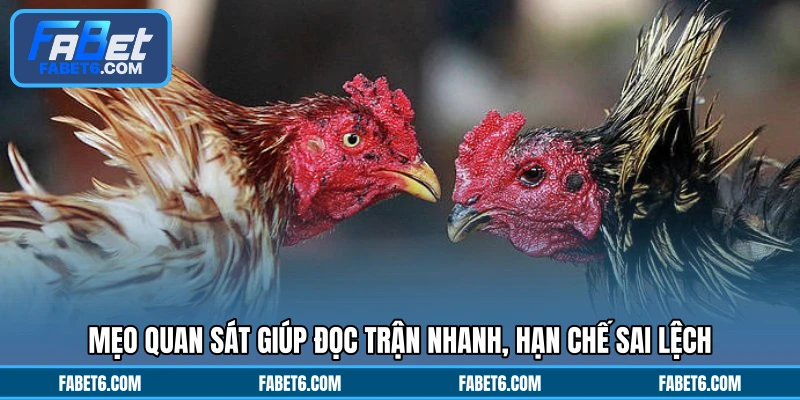 Mẹo quan sát giúp đọc trận nhanh, hạn chế sai lệch