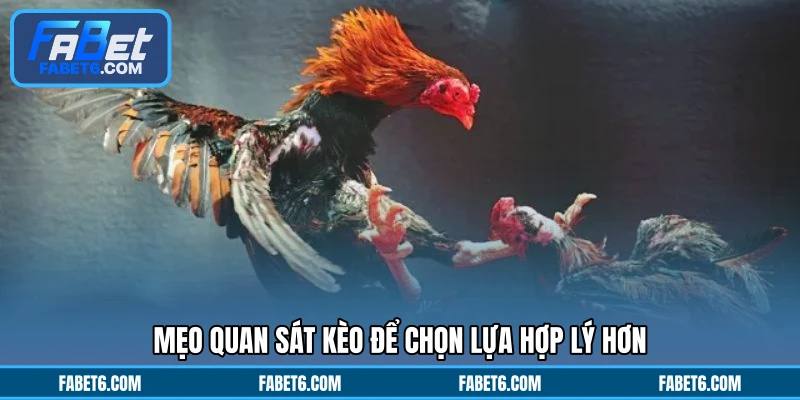 Mẹo quan sát kèo để chọn lựa hợp lý hơn