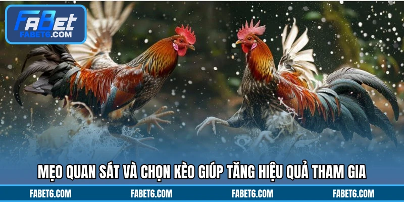 Mẹo quan sát và chọn kèo giúp tăng hiệu quả tham gia
