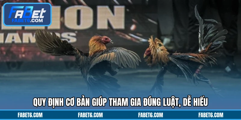 Quy định cơ bản giúp tham gia đúng luật, dễ hiểu