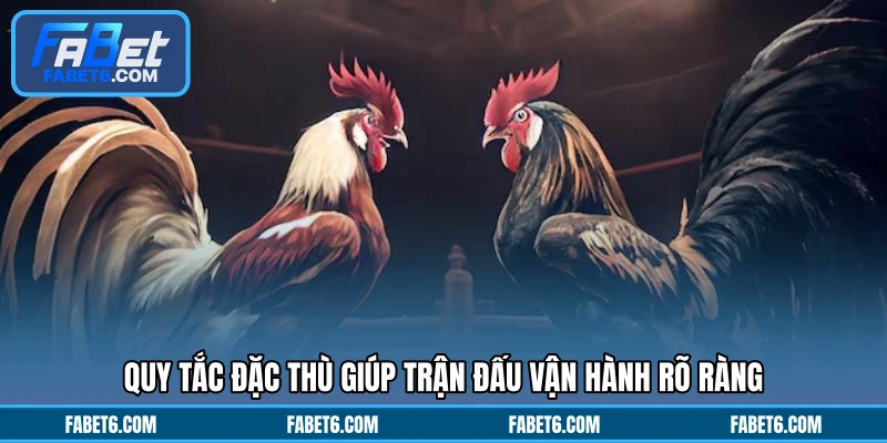 Quy tắc đặc thù giúp trận đấu vận hành rõ ràng