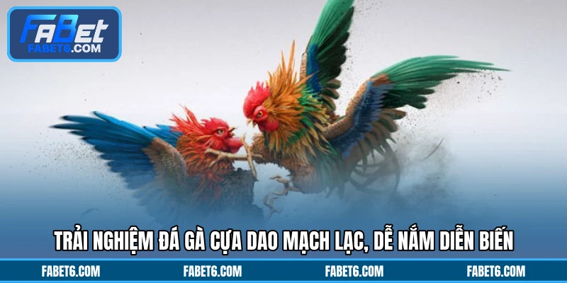 Trải nghiệm đá gà cựa dao mạch lạc, dễ nắm diễn biến